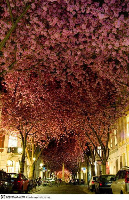 unbelievable-places-6