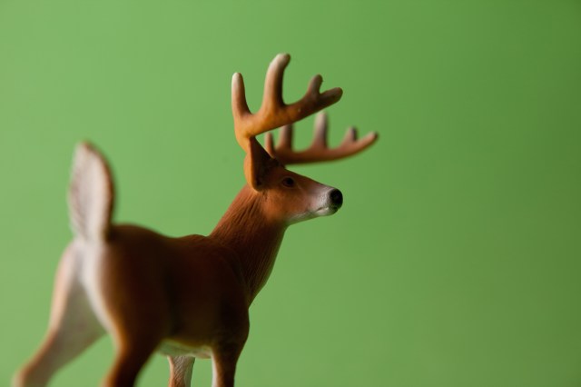Ciervo verde