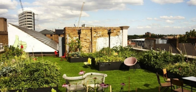 Dalston Roof Park 4