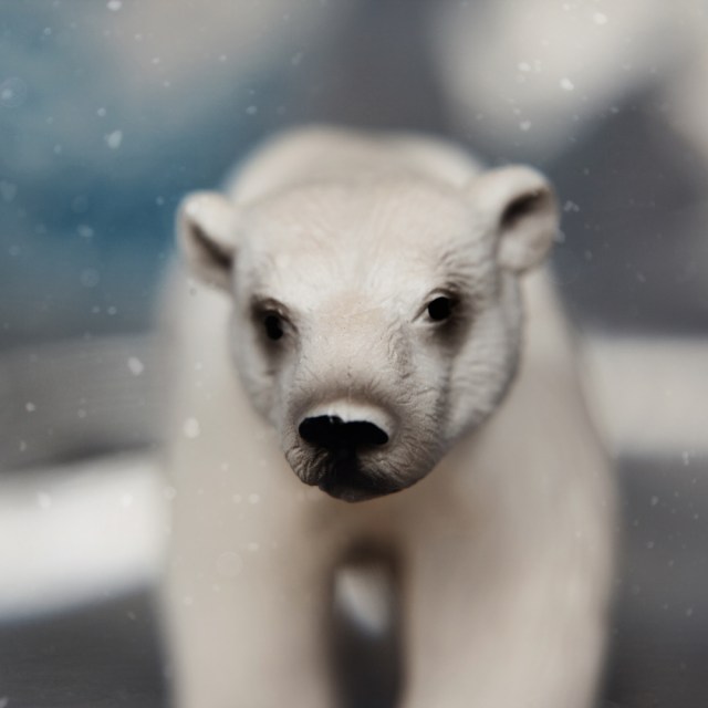 Polar