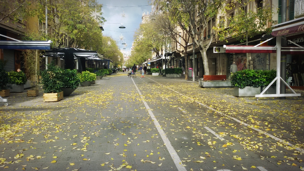 CYMERA_20141227_132817