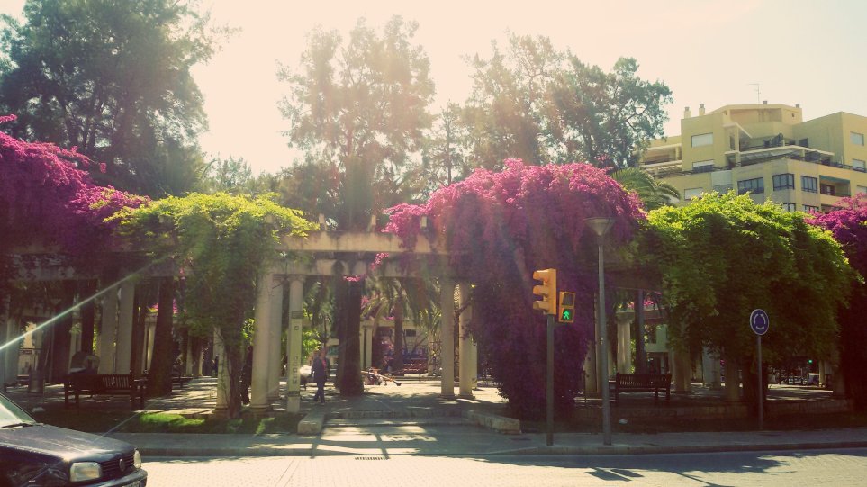 Plaza Columnas 3