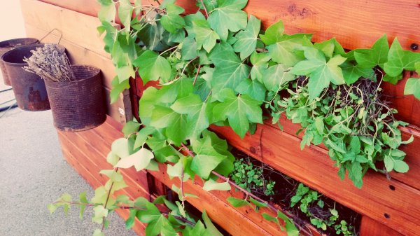 18560396778_6aed2631a3_o