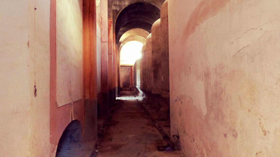 21902960120_7739de783d_o