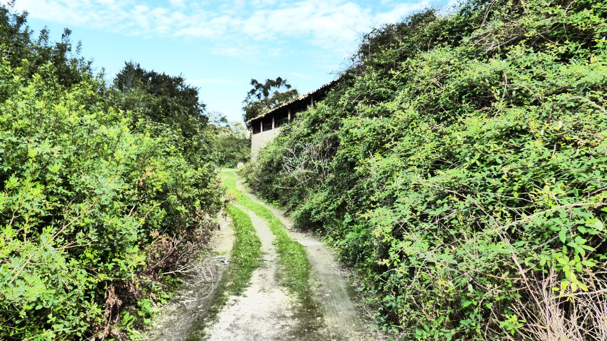 21904007990_e0d012729e_o