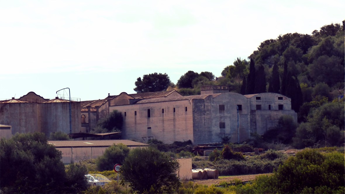 22101865671_b313e383bd_o