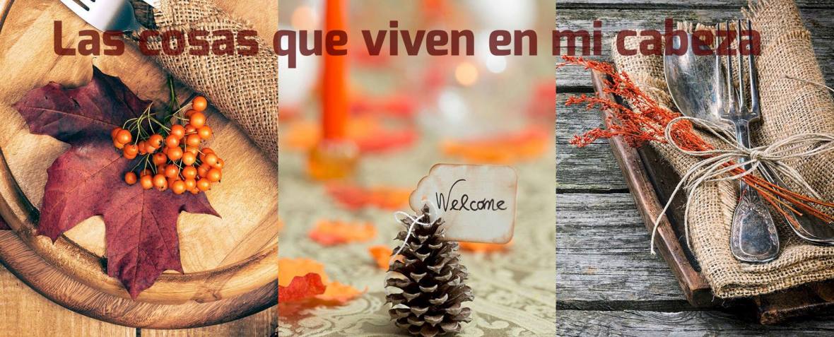 12184167_849765988456101_8039398078242024345_o